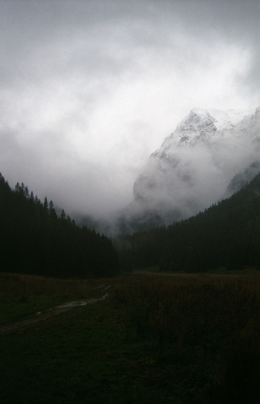 Alpine valley fog