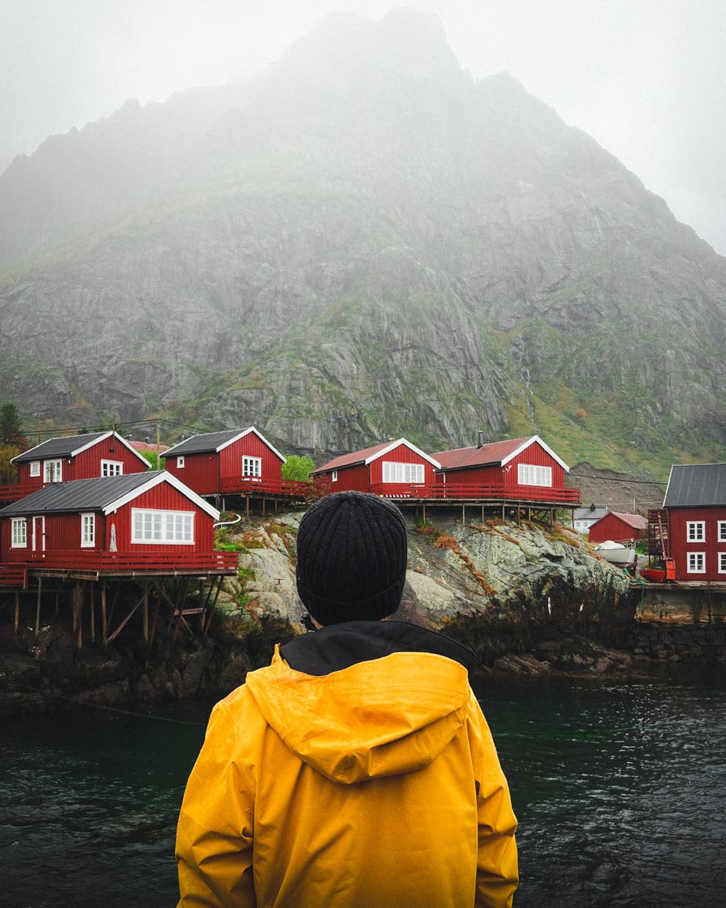 Western Norwegian fjord landscape