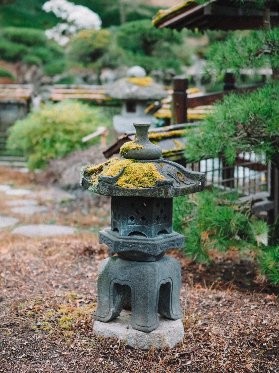 Traditional Japanese wooden garden bridge