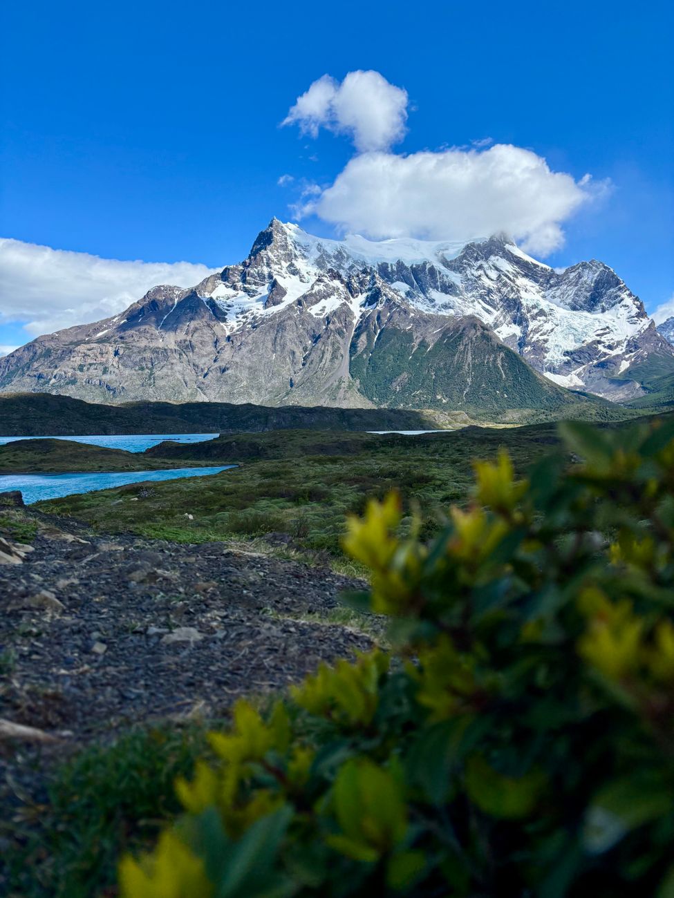 Patagonian ice field and mountain lake